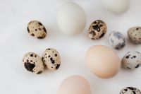 Kaboompics - Quail's eggs and chicken eggs