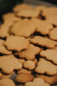 Kaboompics - Homemade gingerbread cookies
