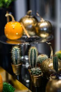 Kaboompics - Golden ornamental pumpkins with cactuses