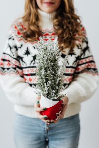 Kaboompics - Woman in a white Christmas sweater holds cypress
