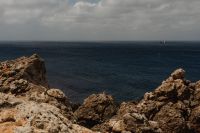 Malta's Seaside Backgrounds - A Collection of Captivating Seascapes - Rocky Cliffs  and Coastal Flora