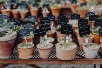 Kaboompics - Miscellaneous plants in ceramic pots