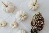 Kaboompics - White pumpkins - hydragea