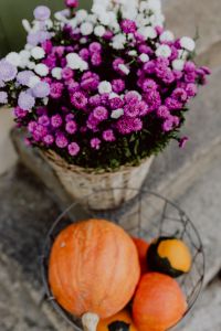 Kaboompics - Pumpkins and flowers as decoration on stairs