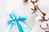 Christmas gift, blue ribbon, cotton branch