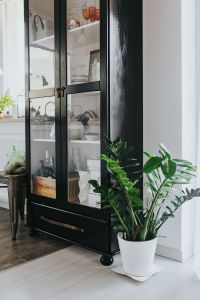 Kaboompics - Black cupboard with a green plant