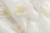 Kaboompics - Floral Compositions - Backgrounds - Wallpapers - White Fabric