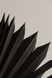 Kaboompics - Black dried palm leaves - black ceramic vase - backgrounds
