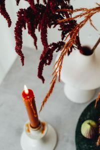 Kaboompics - Figs - dried grass - candle