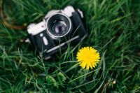 Vintage camera with yellow flower