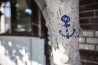 Kaboompics - Anchor drawn on the tree, Nessebar, Bulgaria