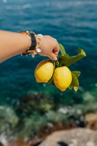 Kaboompics - Lemons from Sorrento, Italy