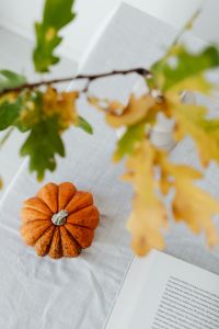 Kaboompics - Opened book - pumpkin - oak leaves