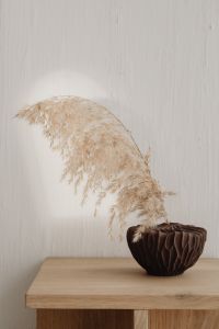 Kaboompics - Brown vase with pampas grass