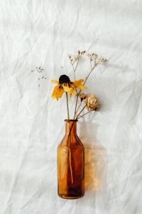 Kaboompics - Dried flowers and small vases