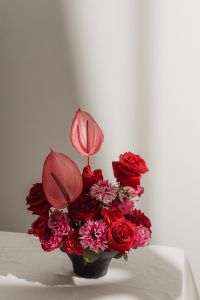 Kaboompics - Red Flowers