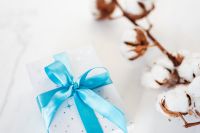 Christmas gift, blue ribbon, cotton branch