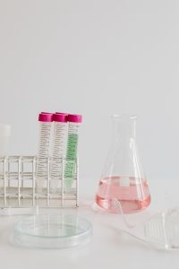 Kaboompics - Laboratory tubes - conical flask - Petri dish