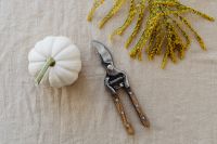 Kaboompics - Beige aesthetic - coffee - pumpkins - autumn - flowers