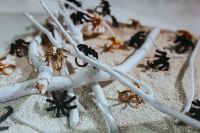 Kaboompics - White wood with black and golden artificial spiders