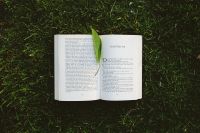 Kaboompics - Book on the grass