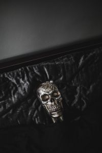 Kaboompics - Halloween Skulls Decorations