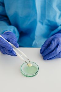 Kaboompics - Female scientist - work - desk - Petri dish