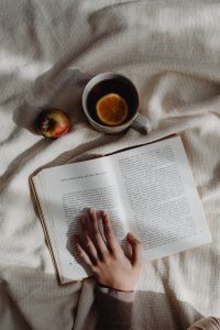 Kaboompics - Book - reading - tea - blanket - evening