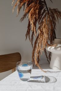 Glass of water - dried grass