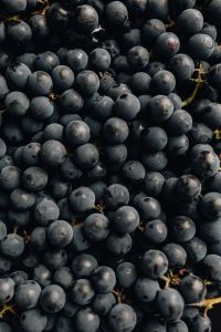 Kaboompics - Grape background