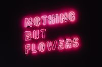 Nothing But Flowers Glowing Neon