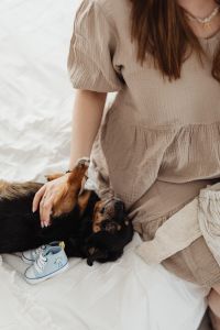 Kaboompics - Pregnant woman petting a small black dog