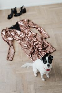 colored sequin dresses and boots lie on a wooden parquet, White Dog