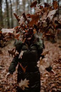 Kaboompics - A woman throws up the autumn brown leaves