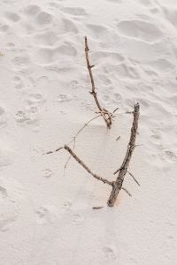 Sticks on a sands