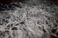 Grey rug texture closeup