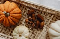 Pumpkins - basket - acorns
