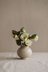 Kaboompics - Flowers in small ceramic vases - beige neutral aesthetics