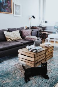 Kaboompics - Designer living room interior with a black cat
