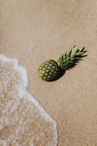 Kaboompics - Pineapple on the beach