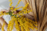 A young girl holds a branch of goldenrod