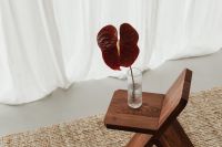 Blooming Flower in Vase on Wooden Chair - A Charming Still Life Collection
