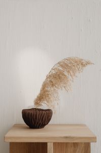 Kaboompics - Brown vase with pampas grass