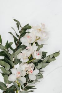 White Cymbidium Orchid flower with eucalyptus on marble
