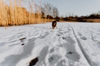 Kaboompics - In middle of frozen lake