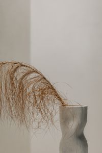 Kaboompics - Dried palm leaf in a white vase