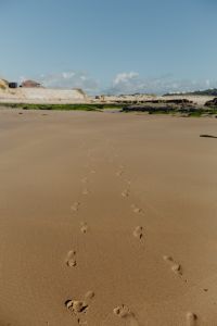 Kaboompics - Footprints on a sandy beach, Portugal