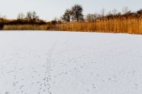Kaboompics - In middle of frozen lake