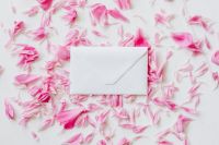 Kaboompics - Envelope on pink petals