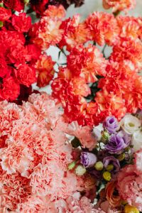 Kaboompics - Various multicolored fresh flowers (carnations, eustoma)